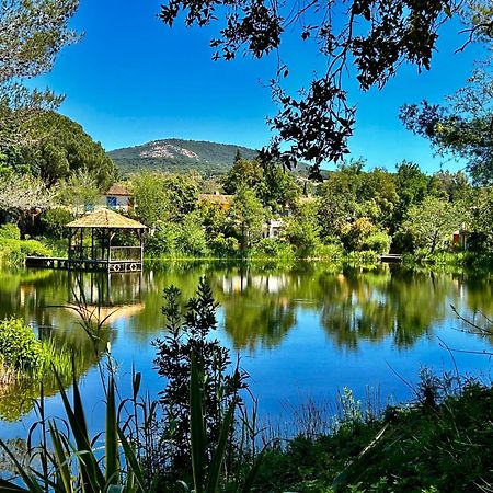 Appartamento Les Restanques Pressoir 3029 Grimaud Esterno foto